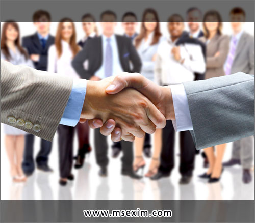 M.S. Exim Services Custom House Agents in Ludhiana Punjab India